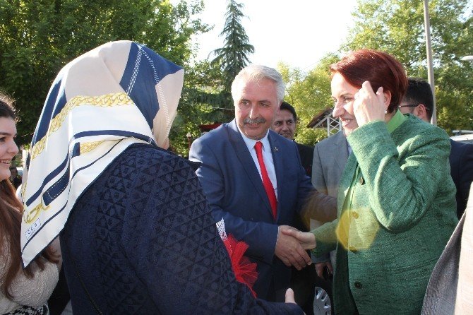 Meral Akşener: “Ben Seçilirsem Bunlar Ot Yolacaklar”