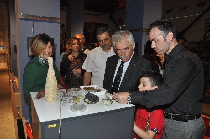 Tekstil Sanayi Müzesi’nde Doğanın Güzellikleri Fotoğraf Sergisi