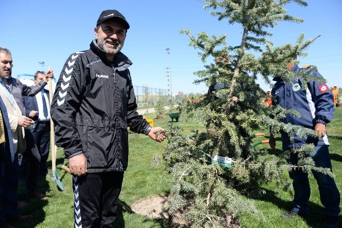 Torku Konyaspor’da Yönetim, Teknik Heyet Ve Futbolcular Fidan Dikti