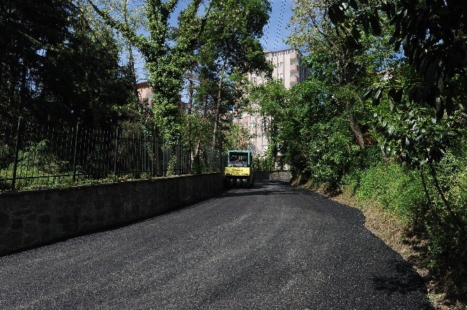 Trabzon Büyükşehir Belediyesi Asfaltlama Çalışmalarına Başladı
