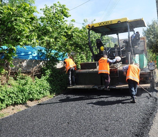 Trabzon Büyükşehir Belediyesi Asfaltlama Çalışmalarına Başladı