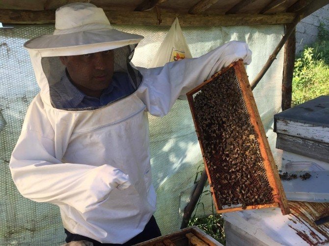 Arıcılar, Bal Sezonuna Hazırlanıyor
