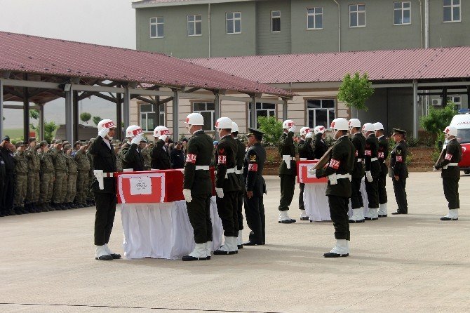 Nusaybin Şehitleri Memleketlerine Uğurlandı
