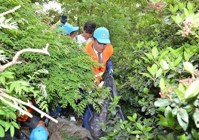 Başkan Edebali Çöp Topladı