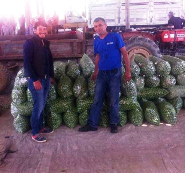 Erikte Üretim Düşük, Fiyatlar Yüksek