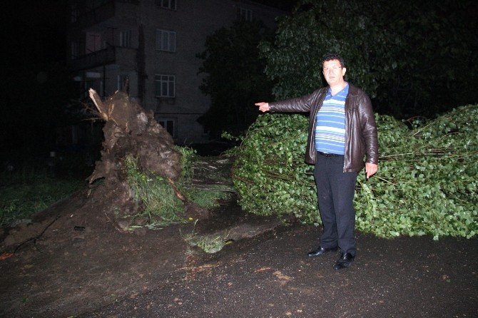 Zonguldak’ta Fırtınada Çatılar Uçtu, Ağaçlar Devrildi