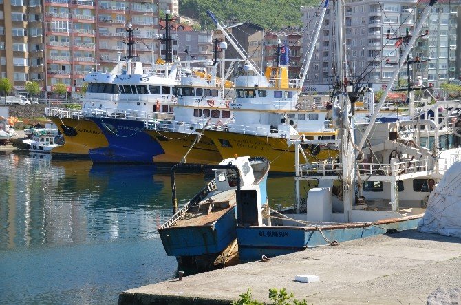 Çevre Kirliliği Karadeniz’i Bitiriyor