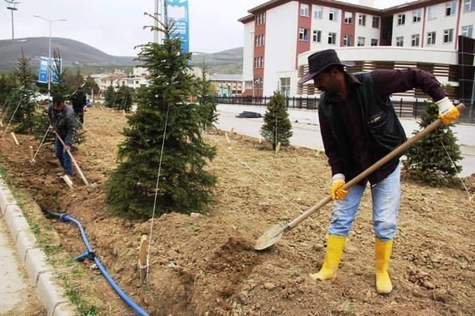 Bayburt Belediyesi Çalışma Temposunu Yükseltiyor