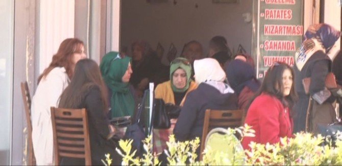 Kocaeli’de Teog Heyecanı
