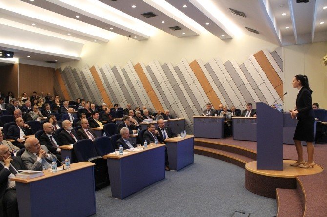 Chp Ab Temsilcisi Sevinç’ten Ab’ye Üyelik Yorumu