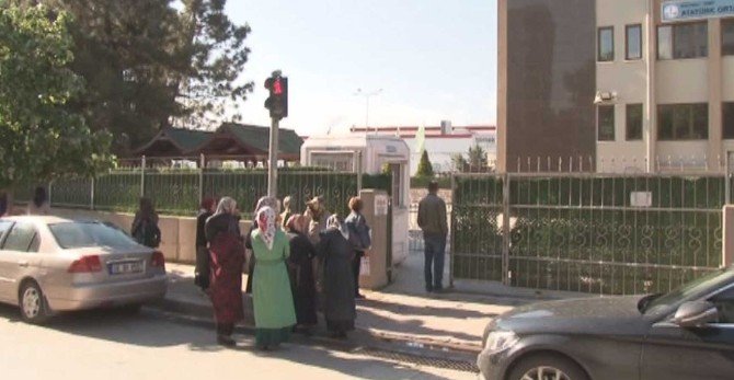 Kocaeli’de Teog Heyecanı