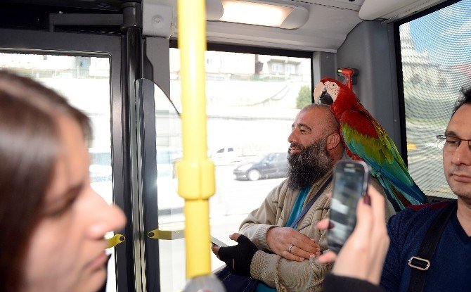 "Allah" Diyen Papağan Metrobüs Yolcularını Hayrete Düşürdü