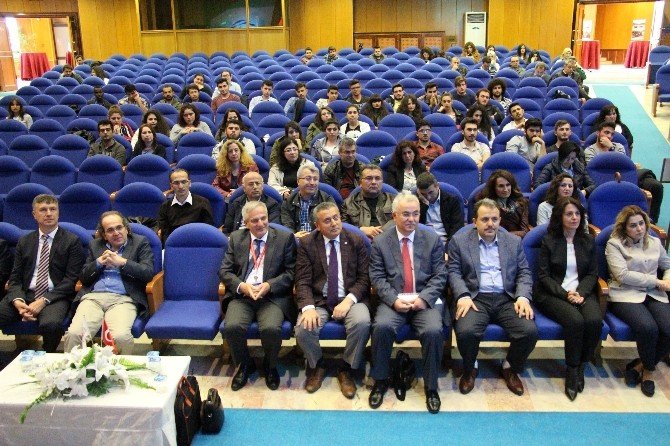 Hollanda’nın Hayvancılıktan Kazandığı Para, Türkiye’nin Turizmden Kazandığının İki Katı