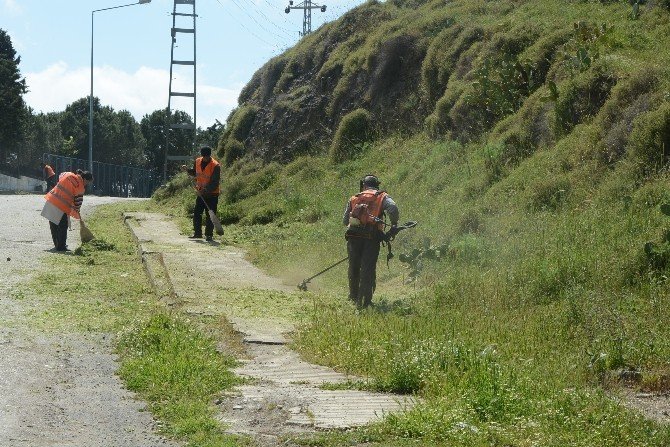 Sinop’ta Yaza Hazırlık