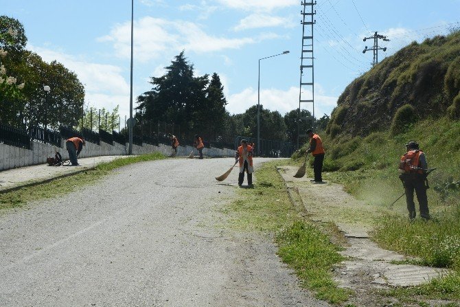 Sinop’ta Yaza Hazırlık