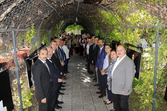 28 Nisan “Sağlıkçıya Şiddete Hayır” Günü