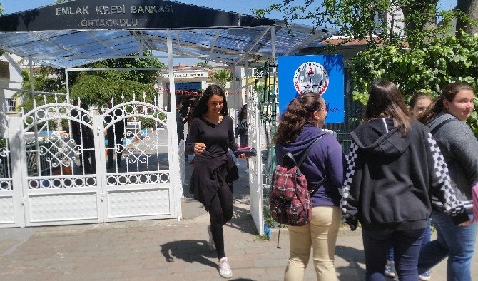 Teog Sona Erdi