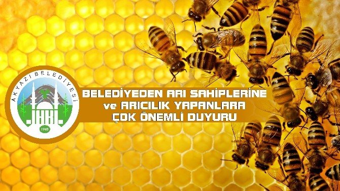 Akyazı Belediyesinden Arıcılık Yapanlara Önemli Duyuru