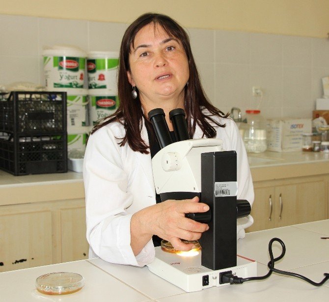 Astıma Neden Olan Toz Akarlarına Dikkat