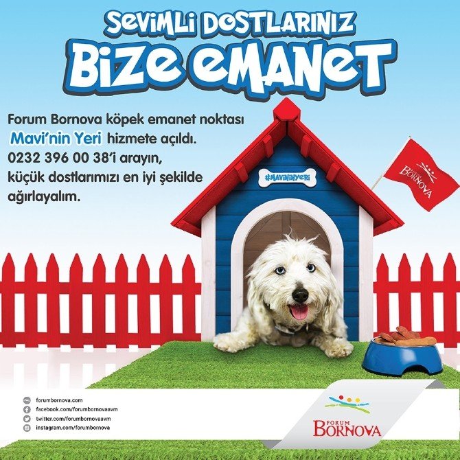 Forum Bornova Mavi’nin Yeri’nde Minik Dostlar Güvende