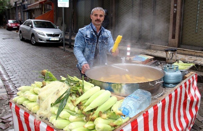 Süt Mısır Piyasaya İndi