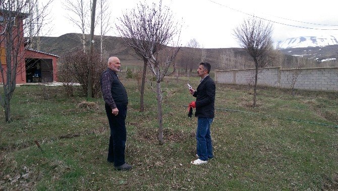 Çiftçilere Uygulamalı Ağaç Budama Eğitimi