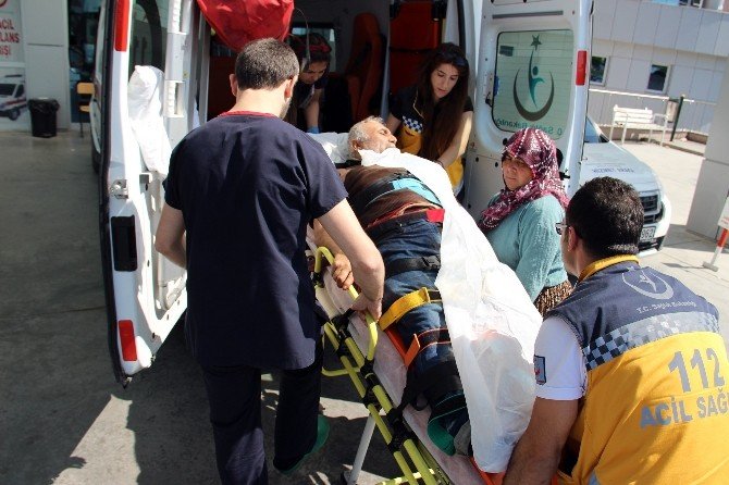 Domuza Ateş Ederken Arkadaşını Vurdu