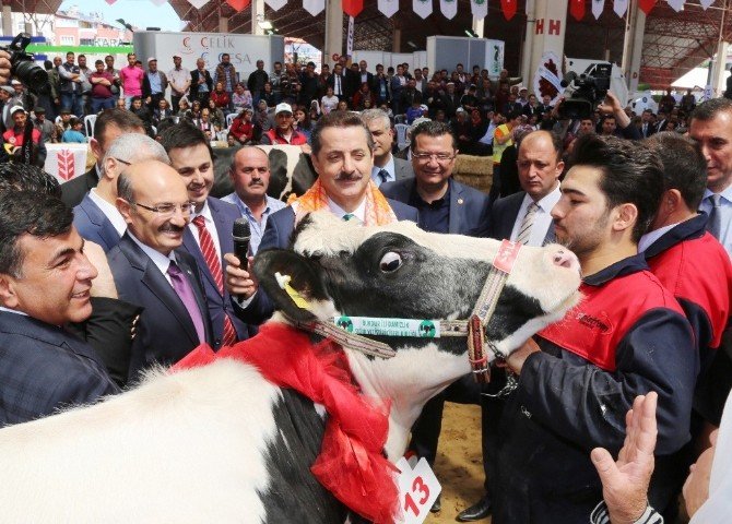 Bakan Çelik’in Müjdeleri Sektörü Hareketlendirdi