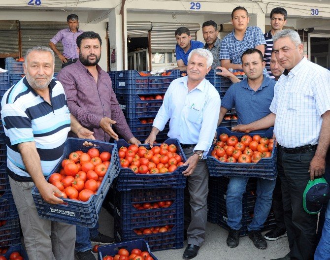 Kış Sezonunda 3,5 Liraya Kadar Satılan Domatesin Kilosu, İhracat Azalınca 50 Kuruşa Düştü