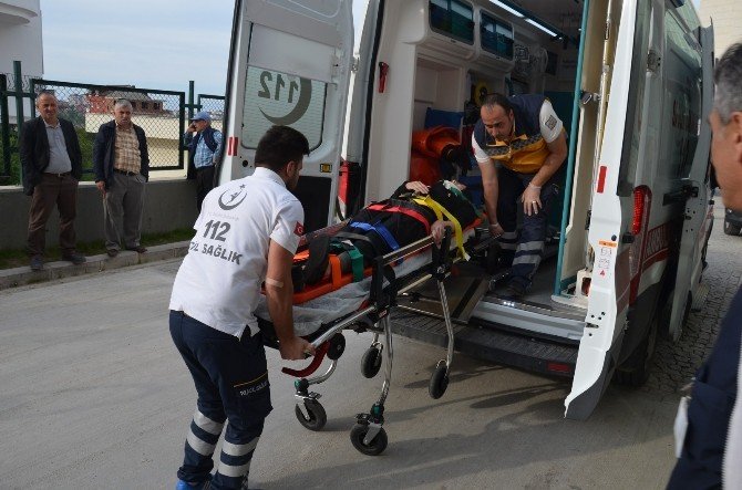 Fatsa’da Trafik Kazaları: 5 Yaralı