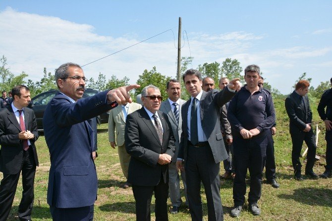 Bafra Açık Ceza Ve İnfaz Kurumu Sebze Üretecek