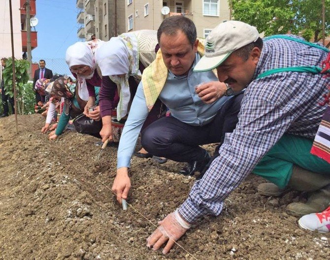 Giresun Belediyesi’nden ‘Üreten Giresun, Üreten Türkiye’ Kampanyası