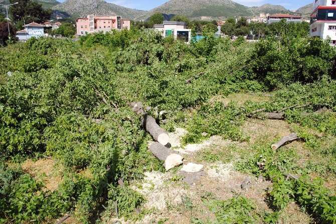 Amasya’da Parka Akaryakıt İstasyonu Davasında Karar