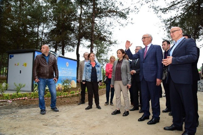 Miliç Göz Kamaştırıyor