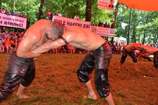 Köyceğiz’de Başpehlivan İsmail Balaban