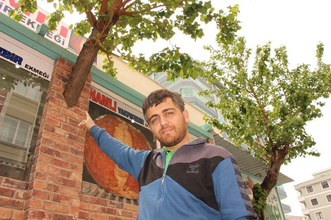 Karadenizli’nin Ağaç Sevgisi
