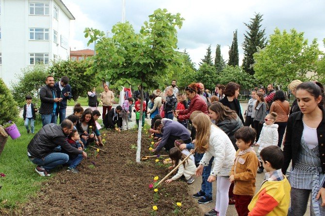 Minik Eller Toprakla Buluştu