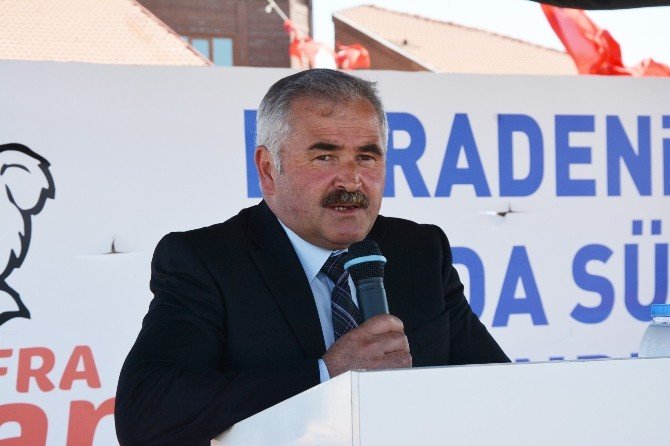 Bafra’da Deltaya Manda Salım Festivali Düzenlendi