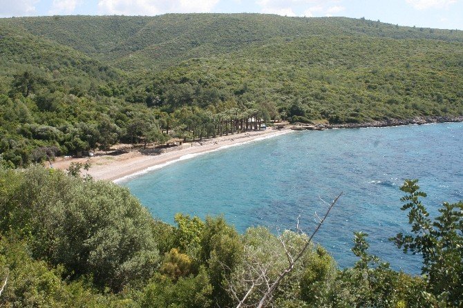 Gökova Körfezi’nde Kıyı Krizi