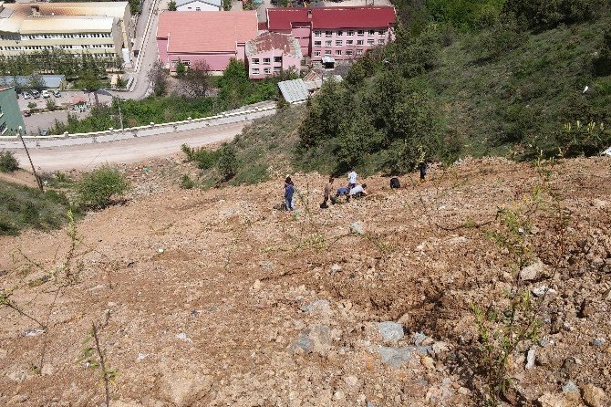 Gümüşhane’de Anneler İçin 2016 Fidan