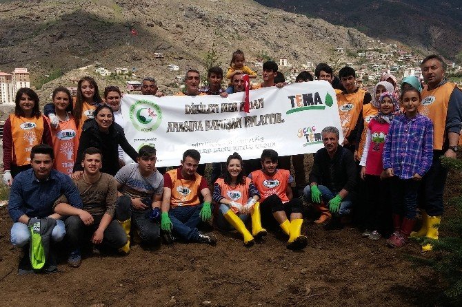 Gümüşhane’de Anneler İçin 2016 Fidan