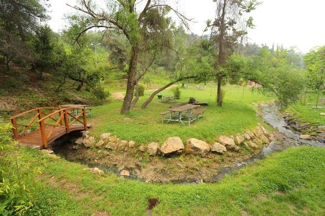 Dilovası Tavşancıl’a Yeşil Vadi