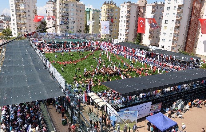 Kırkpınar Başpehlivanı Ali Gürbüz’den Erken Veda