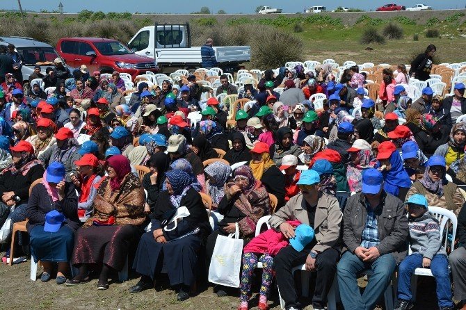 Bafra’da Deltaya Manda Salım Festivali Düzenlendi