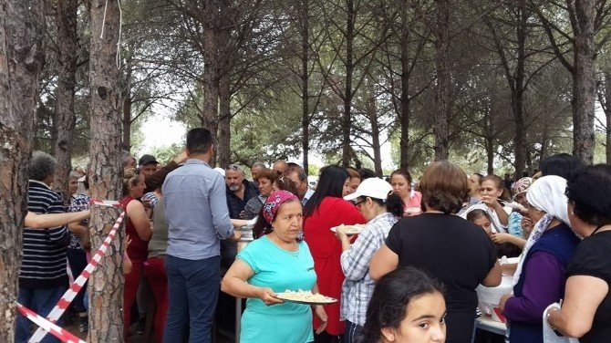 Didim Cem Evi Hıdırellezi Kutladı