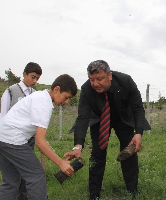 Polisler Fidan Dikti