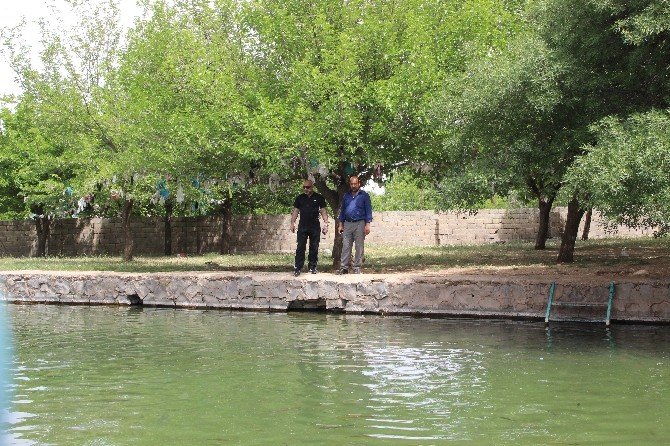 Bu Da Gaziantep’in Balıklı Gölü
