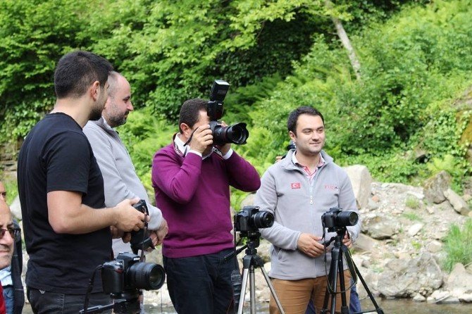 Vali Balkanlıoğlu Ordu’yu Çektiği Fotoğraflarla Tanıtıyor