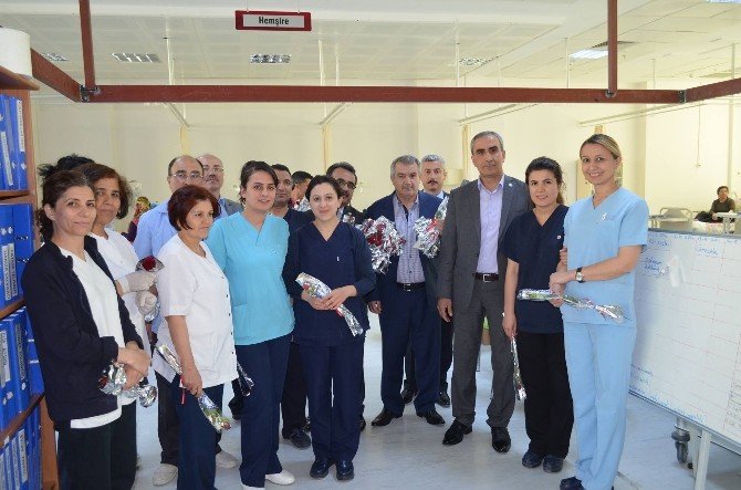 Dünya Ebeler Günü