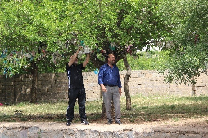 Bu Da Gaziantep’in Balıklı Gölü